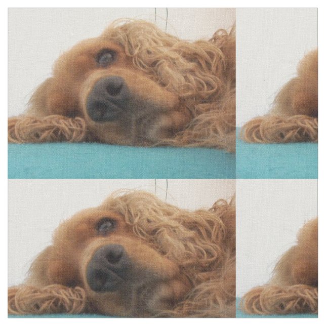 Tecido inglês vermelho cocker spaniel 2.png (Detalhe)