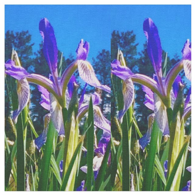 Tecido Iris Light (Detalhe)