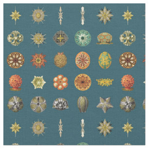 Tecido Jóias do oceano de Ernst Haeckel