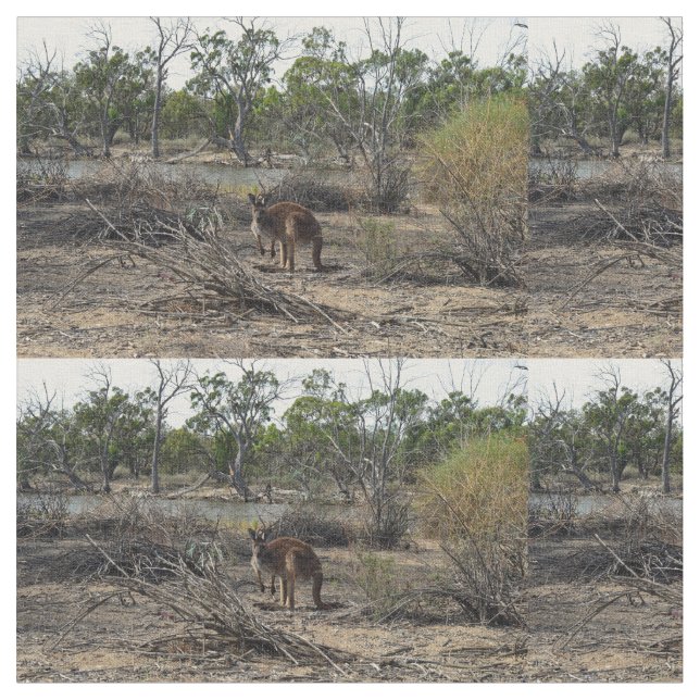 Tecido Kangaroo Entretanto No Billabong, (Detalhe)