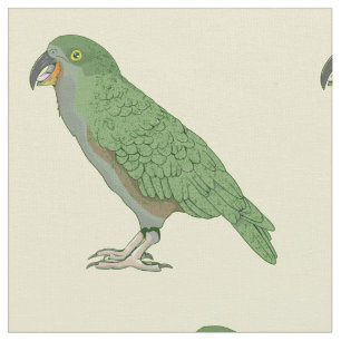 Tecido Kea Nova Zelândia Bird