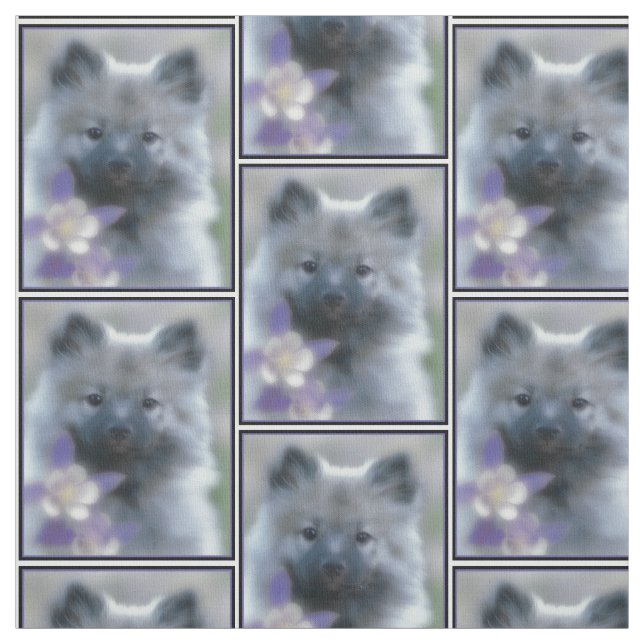 Tecido Keeshond e Columbine - Fotografia de Cães (Modelo)