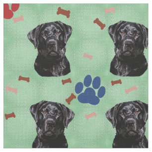 Tecido Labrador retriever