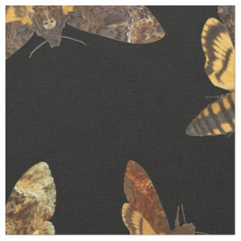 Tecido Lachesis do Acherontia - Morte-cabeça Hawkmoth