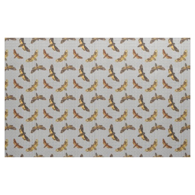 Tecido Lachesis do Acherontia - Morte-cabeça Hawkmoth (Jarda)