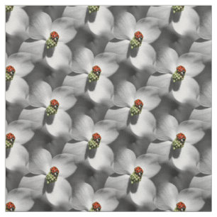 Tecido Ladybug No Padrão Natural Da Flor De Dogwood