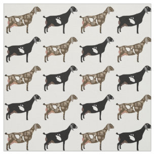 Tecido Leite Nubiano Goats em Branco
