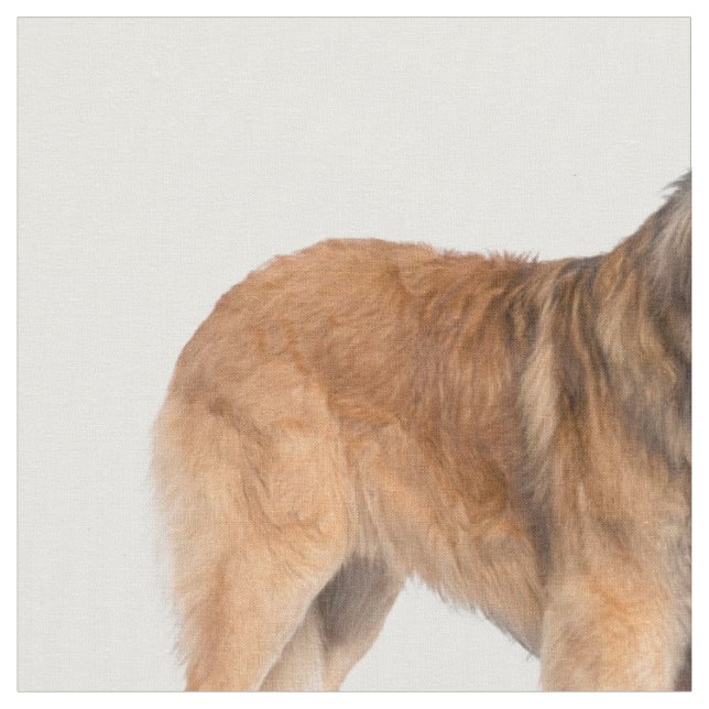 Tecido Leonberger (Detalhe)