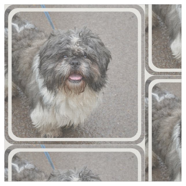 Tecido Lhasa bonito Apso (Detalhe)