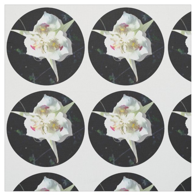 Tecido Lily Dot (Modelo)