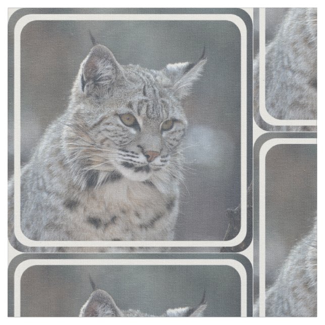 Tecido Lince surpreendente (Detalhe)