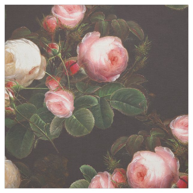 Tecido Lindas Rosas e Buds Rosa (Modelo)