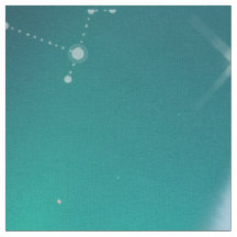 Lobo árctico e noite mágica com luzes nortes