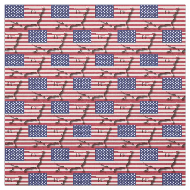 Tecido Mapa do Sinalizador da AMÉRICA EUA (Modelo)