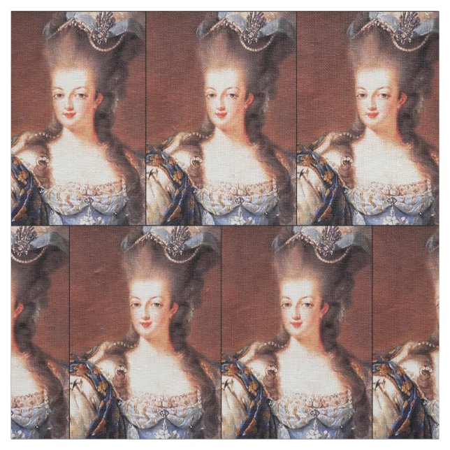 Tecido Marie Antoinette francês Paris (Modelo)