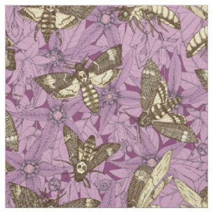 Tecido mariposa-esfinge da morte roxa