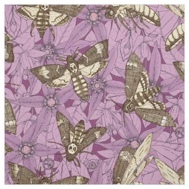 Tecido mariposa-esfinge da morte roxa (Modelo)