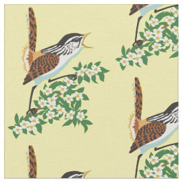 Tecido Marsh wren comybird