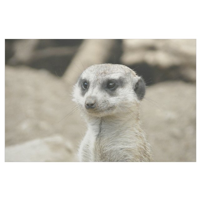 Tecido Meerkat (Jarda)