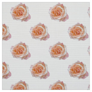 Tecido Meia-Tecido Rosa Rosa Rosa Rosa Rosa Rosa Rosa