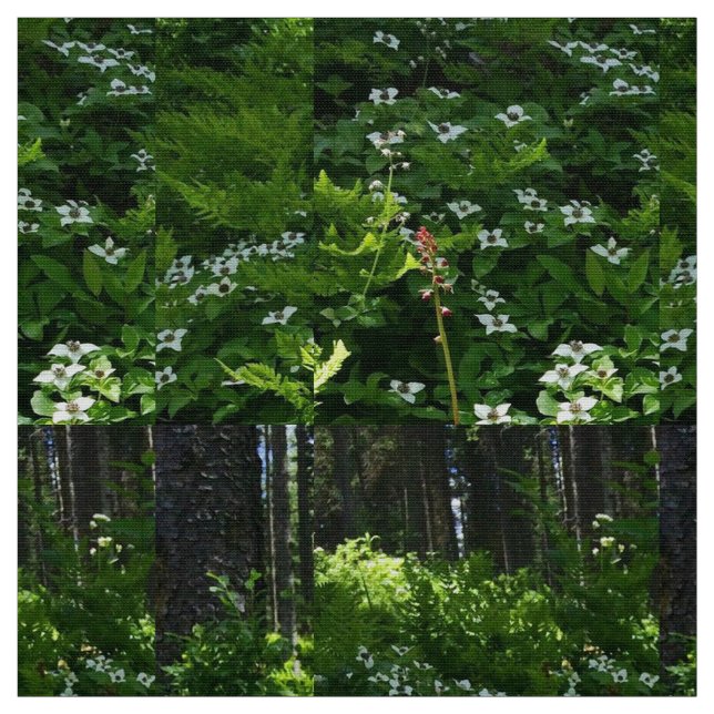 Tecido Meu trilho canadense (Modelo)