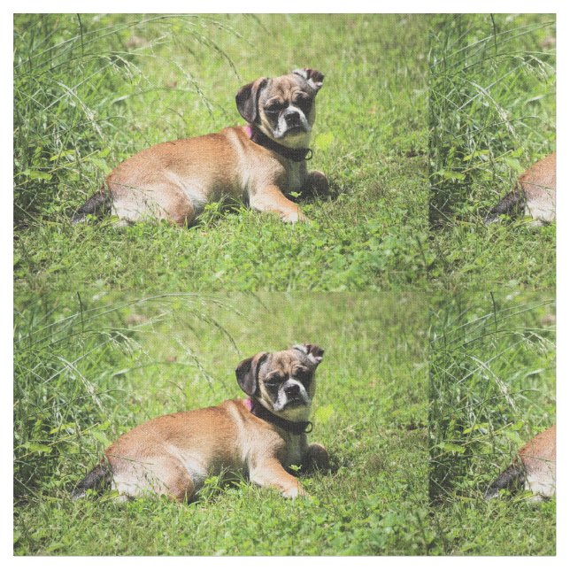 Tecido Molly (Detalhe)