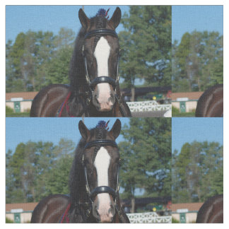 Tecido mostra do cavalo de esboço do va do culpeper