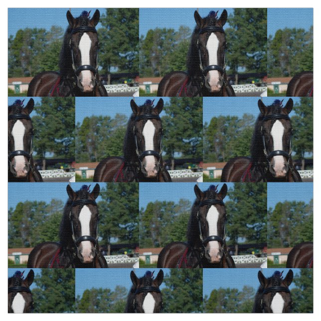 Tecido mostra do cavalo de esboço do va do culpeper (Modelo)