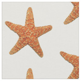Tecido natural da foto da estrela do mar