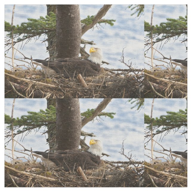 Tecido Nesting Bald Eagle (Detalhe)