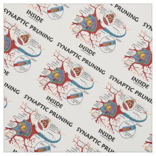 Tecido Neurologia interna de poda Synaptic da sinapse do