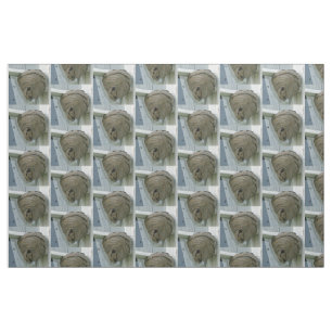 Tecido Ninho dos zangões