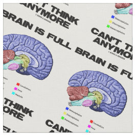 Tecido O cérebro está completo não pode pensar o humor