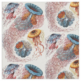 Tecido O Discomedusae de Ernst Haeckel