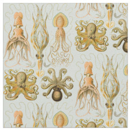 Tecido O Gamochonia de Ernst Haeckel