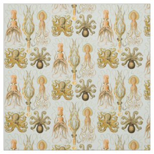 Tecido O Gamochonia de Ernst Haeckel
