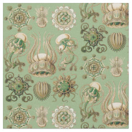 Tecido O Narcomedusae de Ernst Haeckel