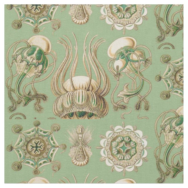 Tecido O Narcomedusae de Ernst Haeckel (Detalhe)