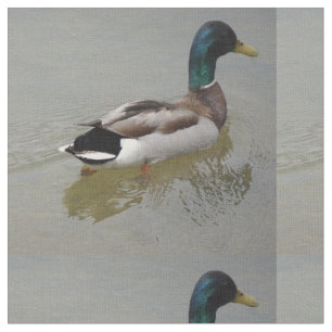 TECIDO O PATO CLÁSSICO DO PATO SELVAGEM