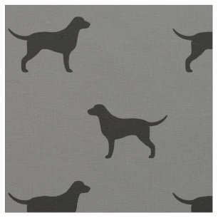 Tecido O Retriever revestido encaracolado mostra em