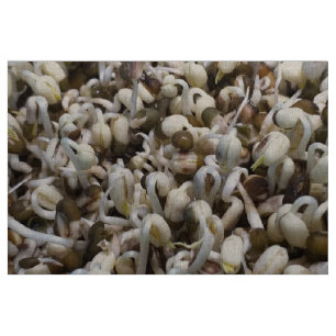 Tecido Orgânico - Supercomida Embalada Com Nutrientes