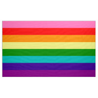 ORGULHO LGBT (Histórico de 1977)