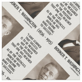Tecido Os obstáculos de Booker T. Washington superados