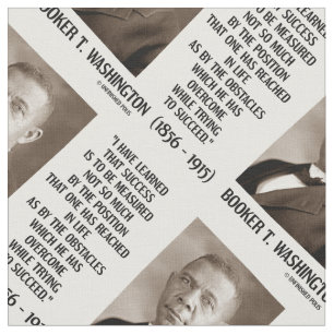 Tecido Os obstáculos de Booker T. Washington superados