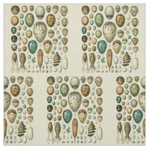 Tecido Ovos de Pássaros Antigos Arte de Ovos de Peixe Fra