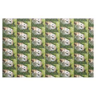 TECIDO OWLS