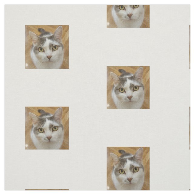 Tecido Padrão de Foto Personalizado (Modelo)