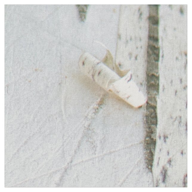 Tecido Padrão de latido de aves (Detalhe)