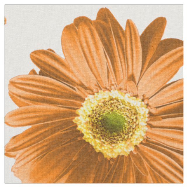 Tecido Padrão de margarida de Pop laranja (Detalhe)