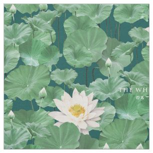 Tecido Padrão do Lago Lotus - O Lotus Branco